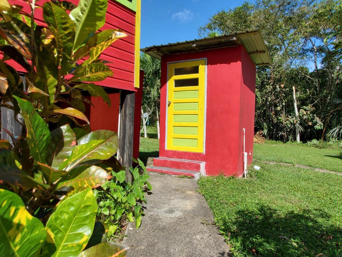 Lower Dover Jungle Lodge & Maya Ruins Unitedville Exterior photo