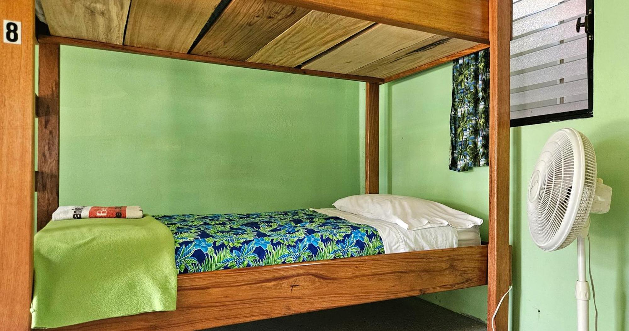 Lower Dover Jungle Lodge & Maya Ruins Unitedville Room photo